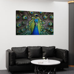 Colorful Peacock Wall Art