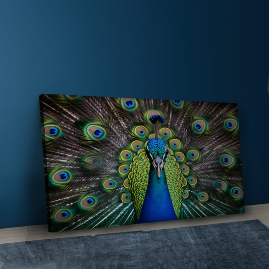 Colorful Peacock Wall Art